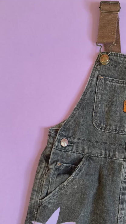 Zara Kids Dungaree (18-24 months)